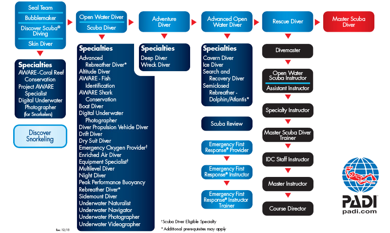 PADI-Education-Flow-Chart